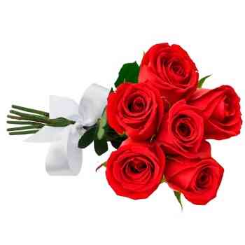 Buquê de 6 Rosas Vermelha..
