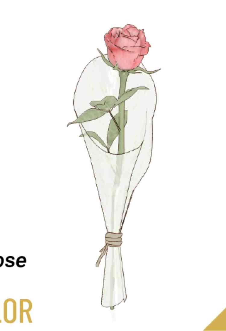 Single Rose..