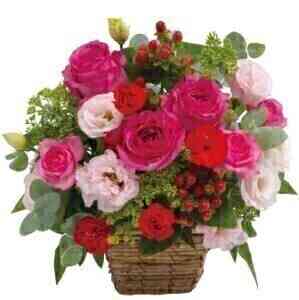 Arrangement in Pink and R..