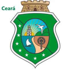 Interflora Ceará