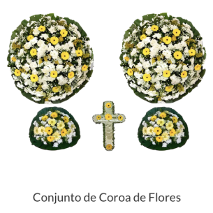 CONJUNTO DE COROA DE FLOR..