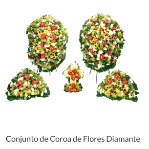 CONJUNTO DE COROA DE FLOR..